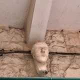 In strada Quercia n.10, sempre a Bari vecchia, si trova la statua detta �Cape du Turchie�. Secondo la leggenda rappresenterebbe la testa mozzata dell�emiro Mufarrag 